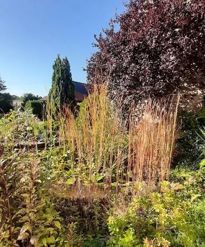 Apartamento Rohleder De Mit 130m2 Und Garten Für 6pers Mit 2 Bad *